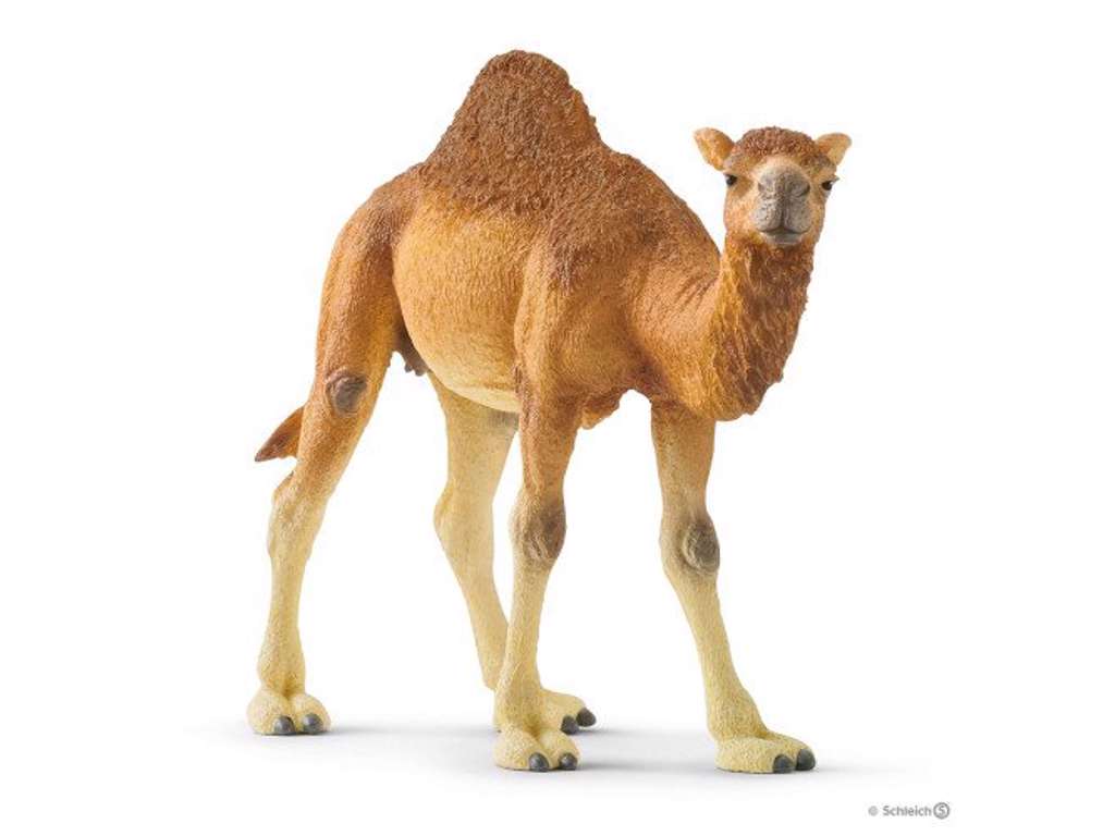 Dromedar fra Schleich - 14832