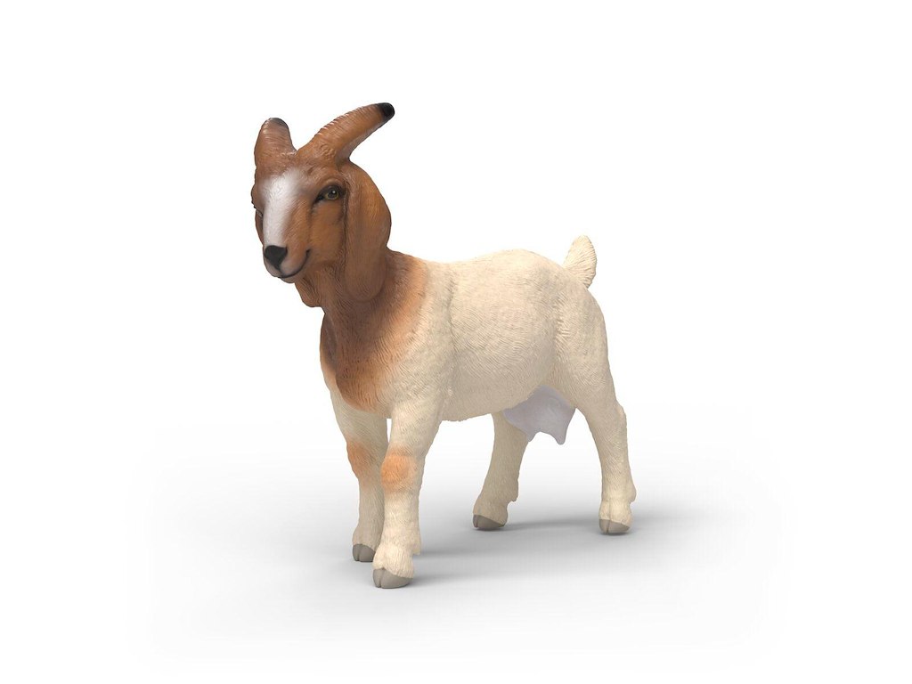 Schleich Boer Goat