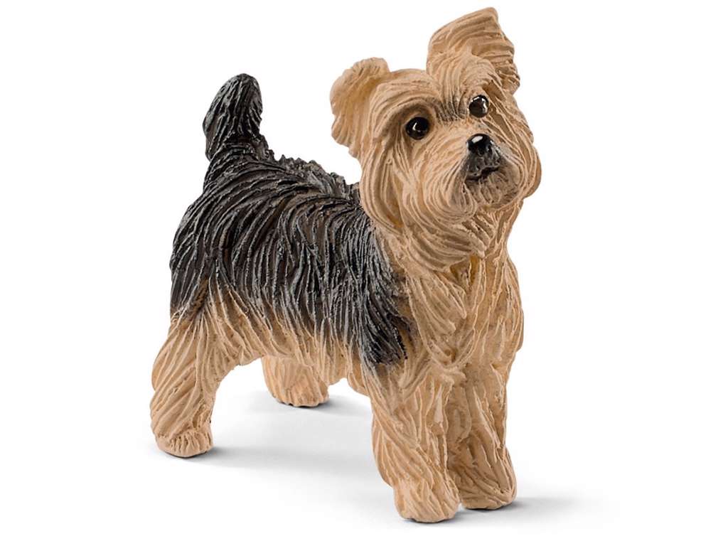 Yorkshire Terrier fra Schleich - 13876