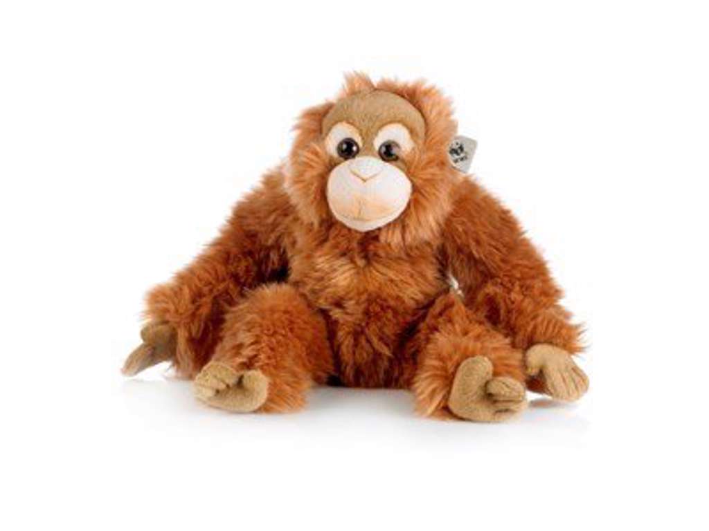 Orangutang på 23 cm fra WWF