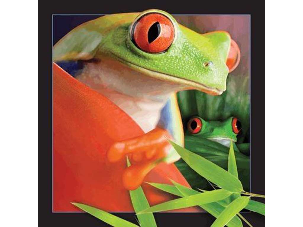 3D postkort med frø fra Worth Keeping