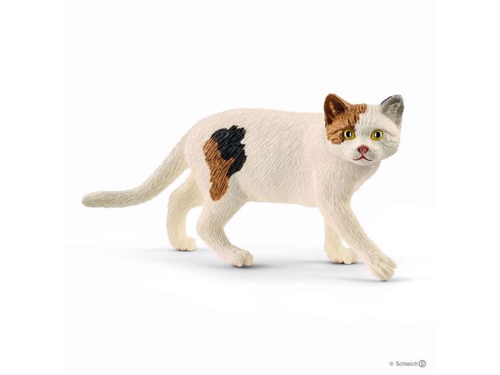 Amerikansk Korthåret Kat fra Schleich - 13894