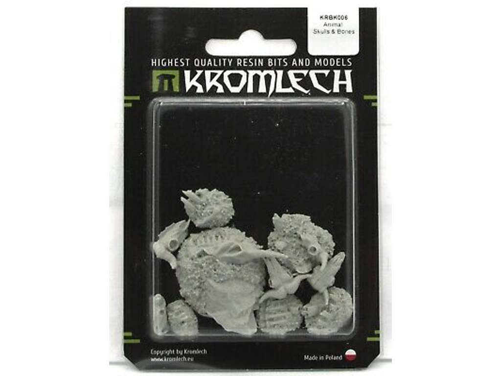 Animal Skulls and Bones