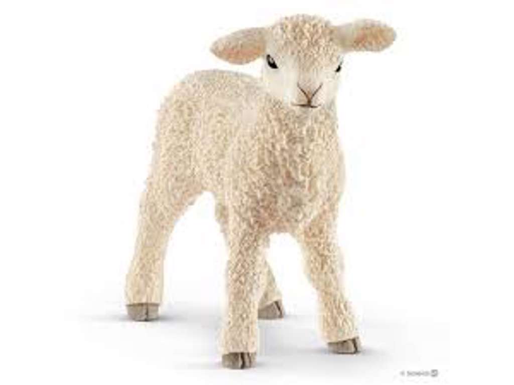 Lam fra Schleich - 13883