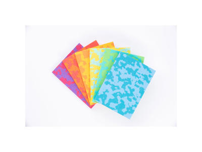 Happy Cube Expert - (Display: 24 pcs) (Nordic)