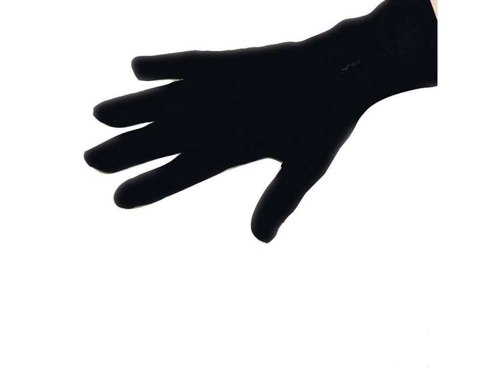 Sorte kostume handsker fra Rubies