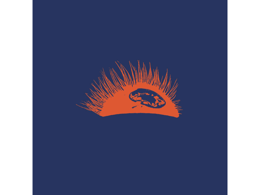 The Bleeder Group - Sunrise twenty - Vinyl