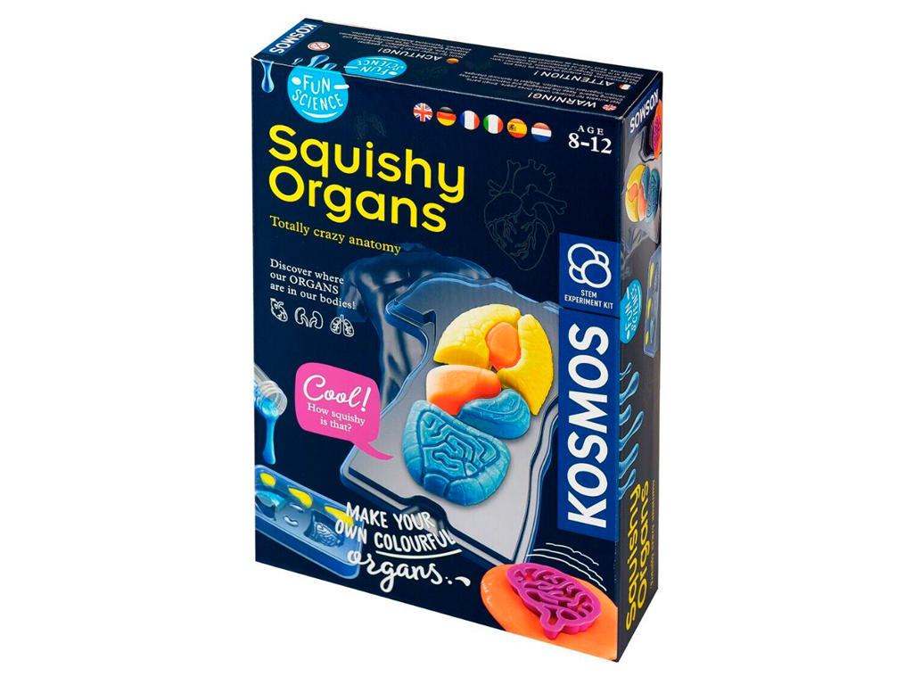 Squishy Organer (EN) - Fun Science