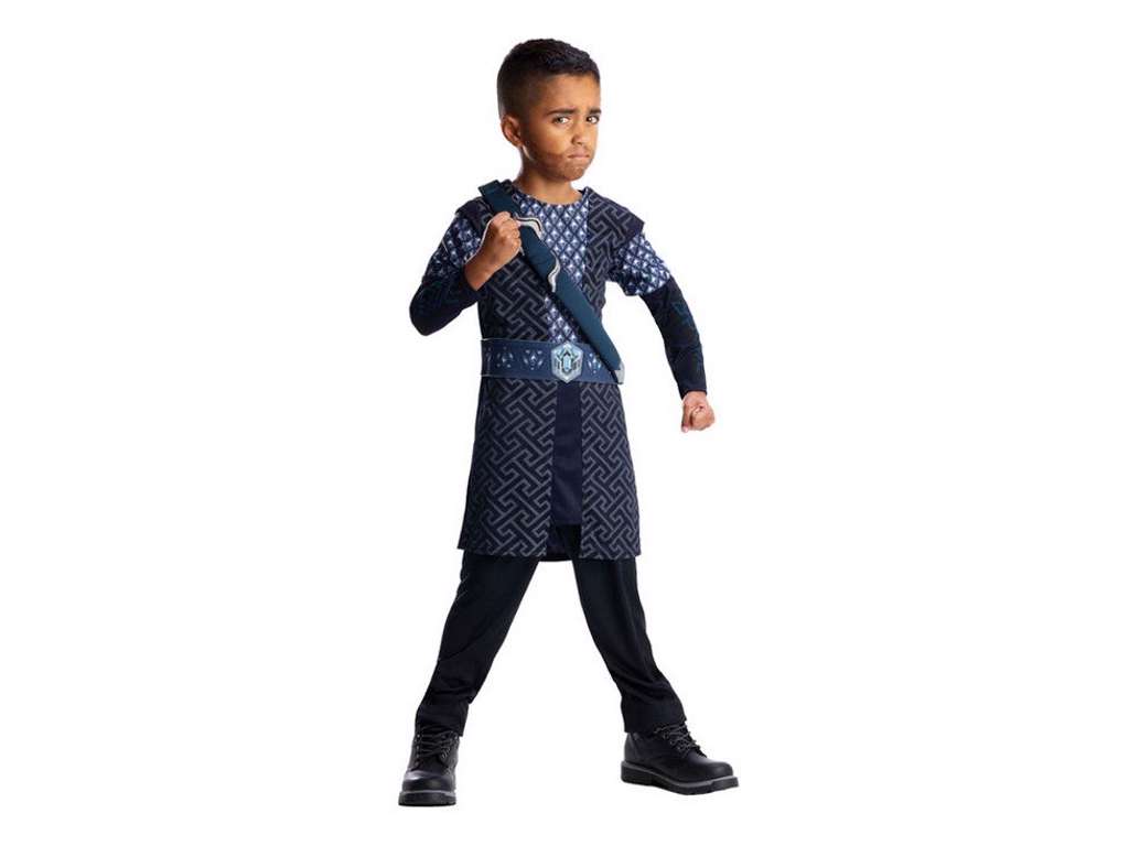 Thorin Oakenshield kostume 5-6 år