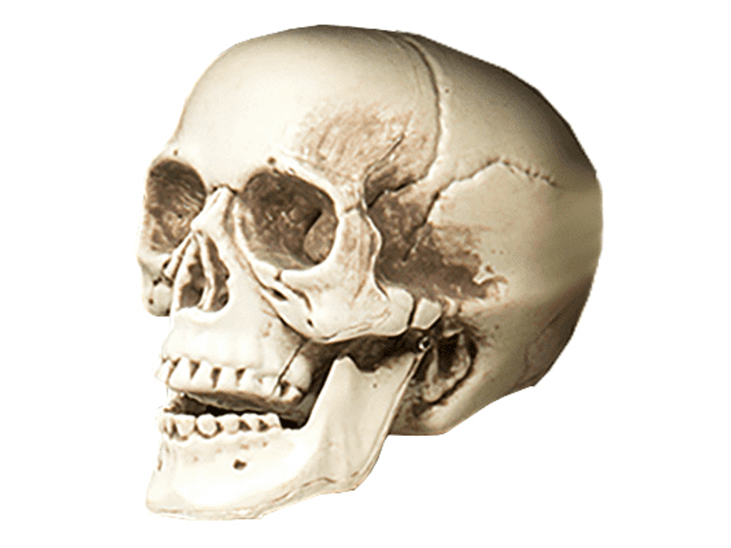 Lille kranium i plast fra Joker