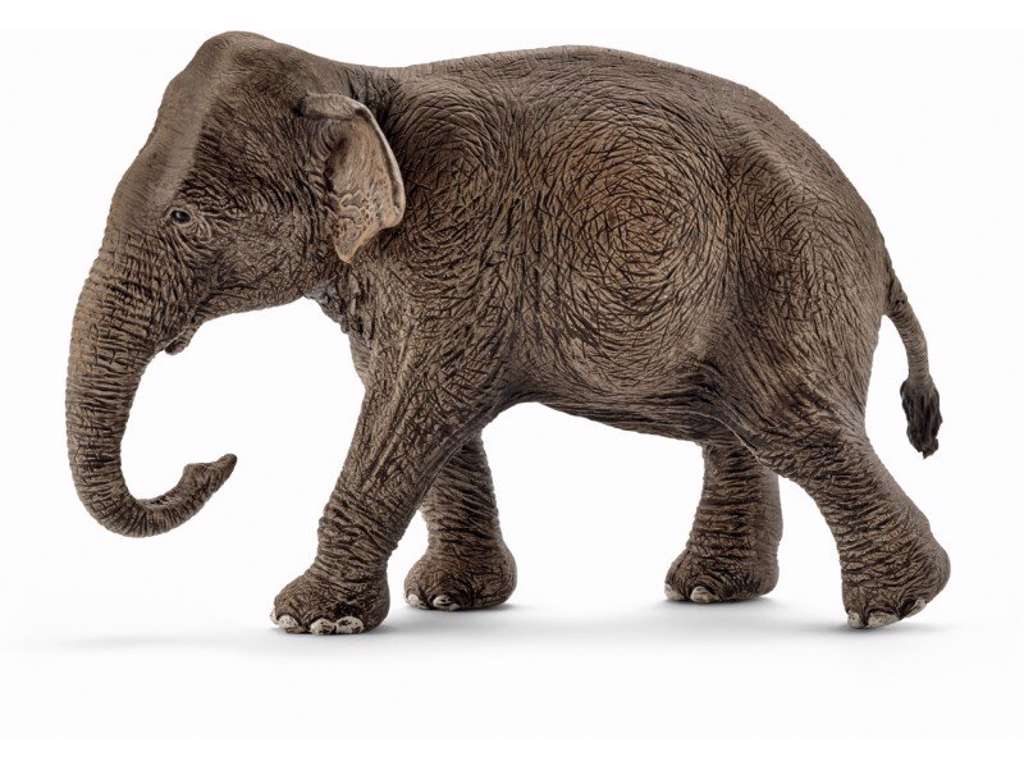 Asiatisk hun elefant fra Schleich - 14753