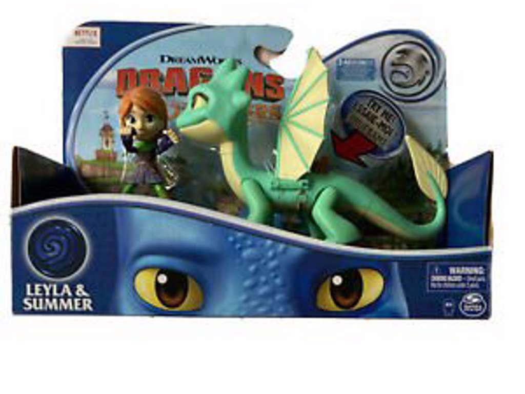 Dragons Rescue Riders - Layla & Summer