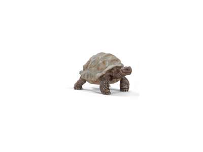 Kæmpeskildpadde fra Schleich - 14824