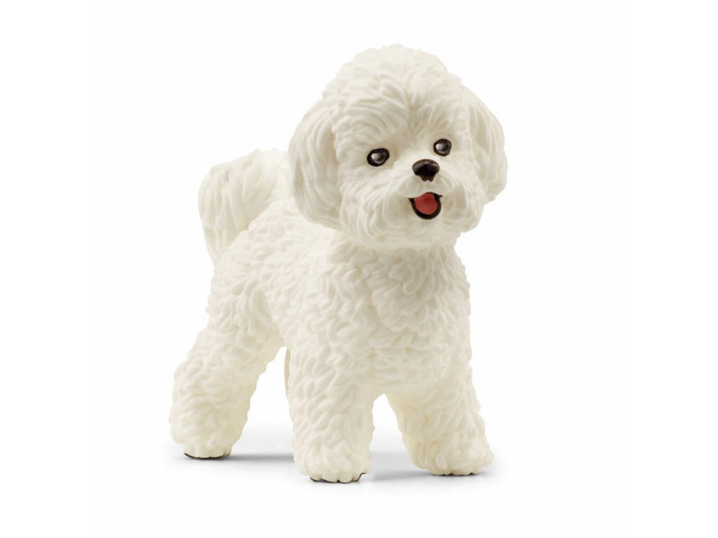 Schleich Bichon Frisé hund - 13963