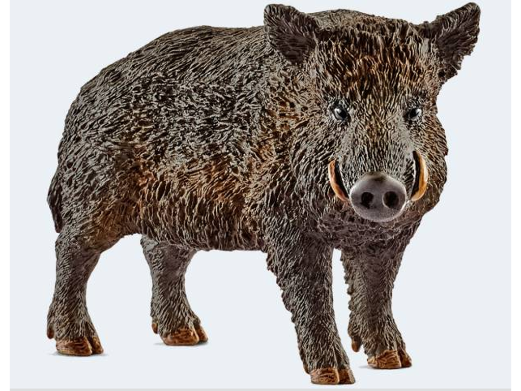 Vildsvin fra Schleich - 14783