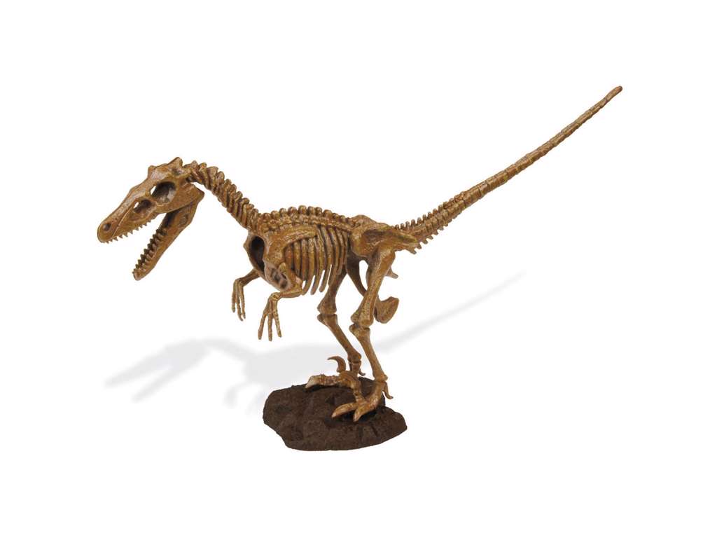 Dr. Steve Hunters udgravningssæt - Stor Velociraptor skelet