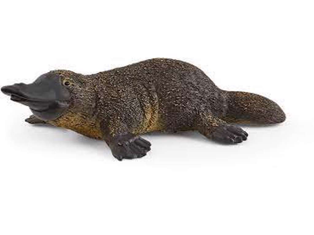 Næbdyr fra Schleich - 14840