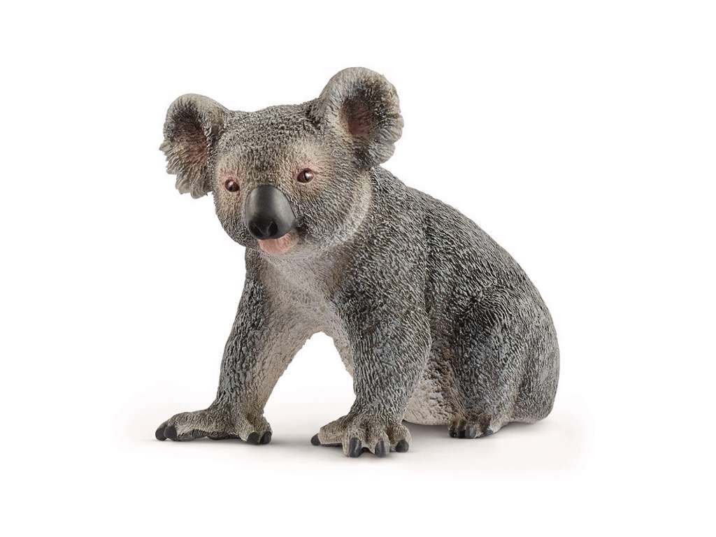 Koala fra Schleich - 14815
