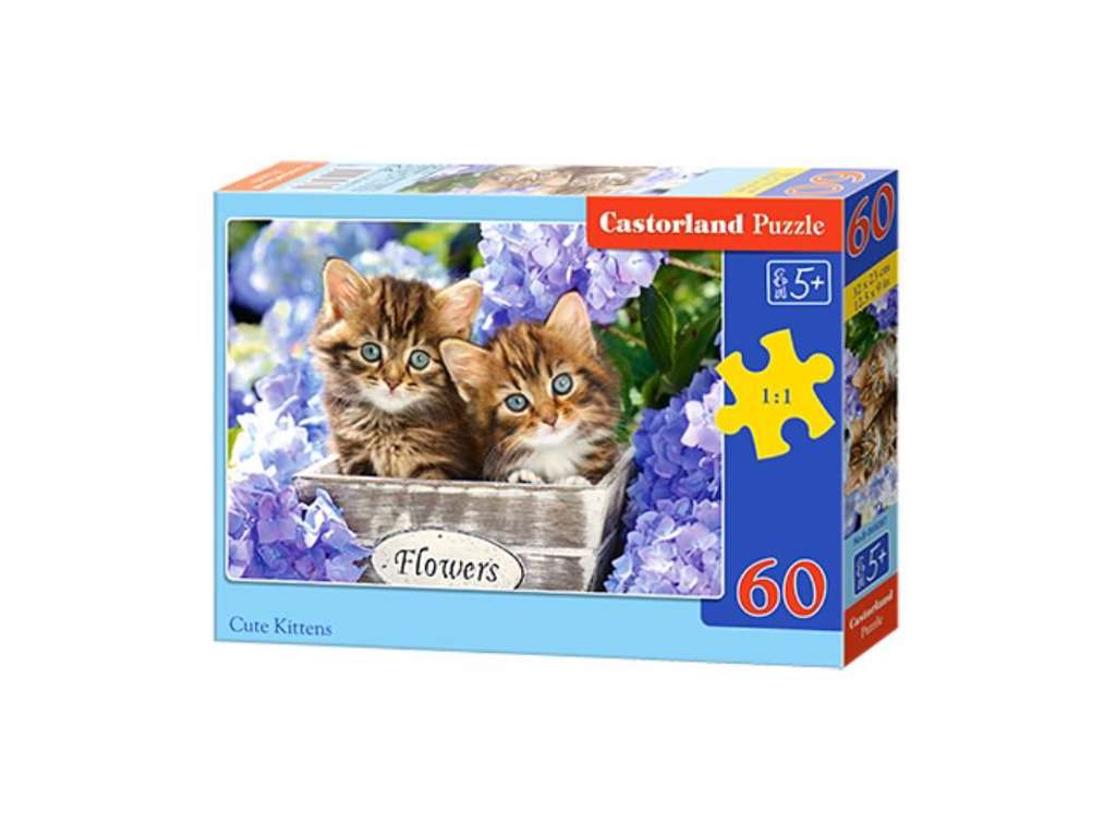 Kattekillinger puslespil med 60 brikker fra Castorland