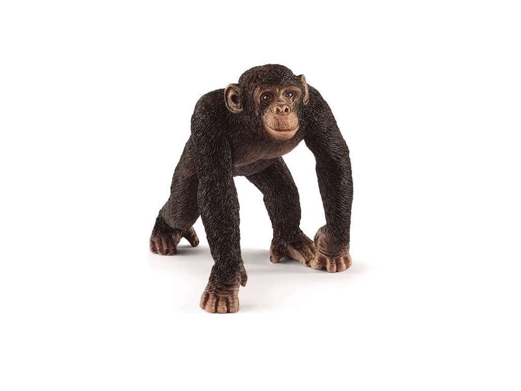 Chimpanse fra Schleich - 14817