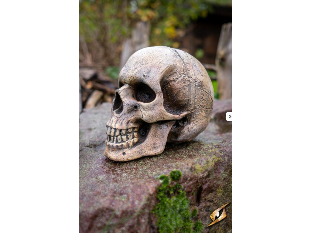 Medium Skull - Foam - Bone - 15 cm