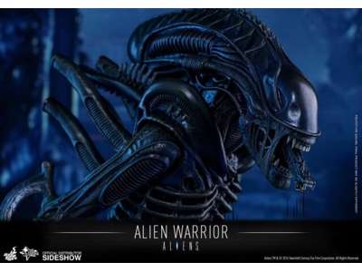 Alien Warrior action figur fra Aliens på 34 cm fra Hot Toys