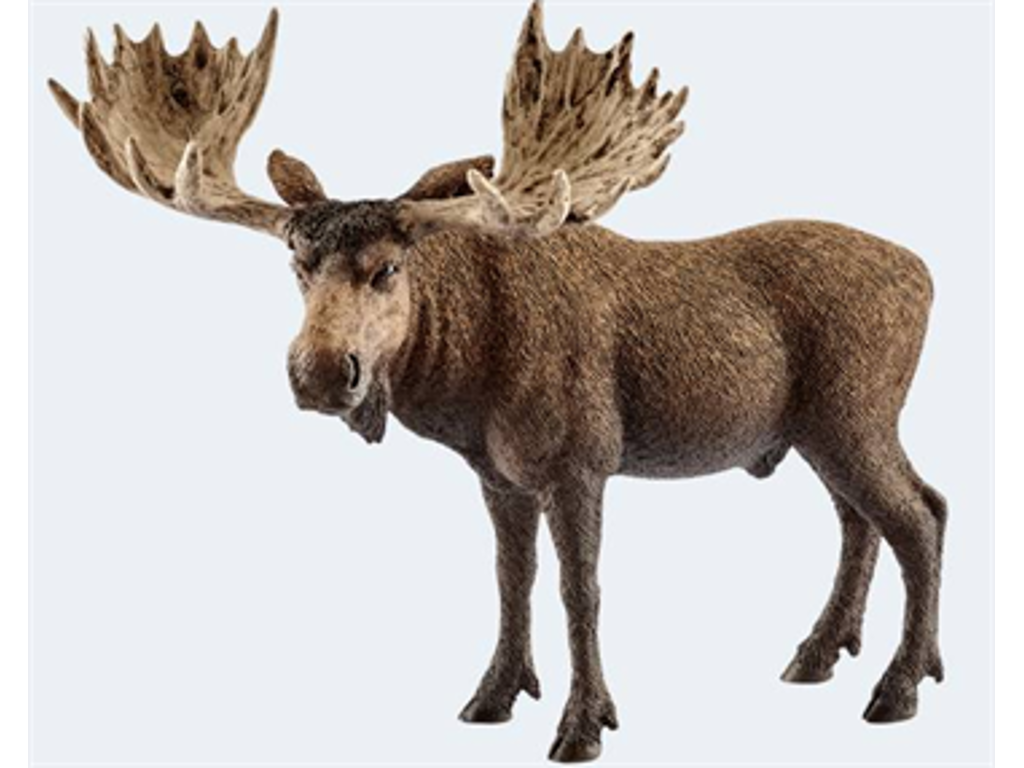 Elg han fra Schleich - 14781