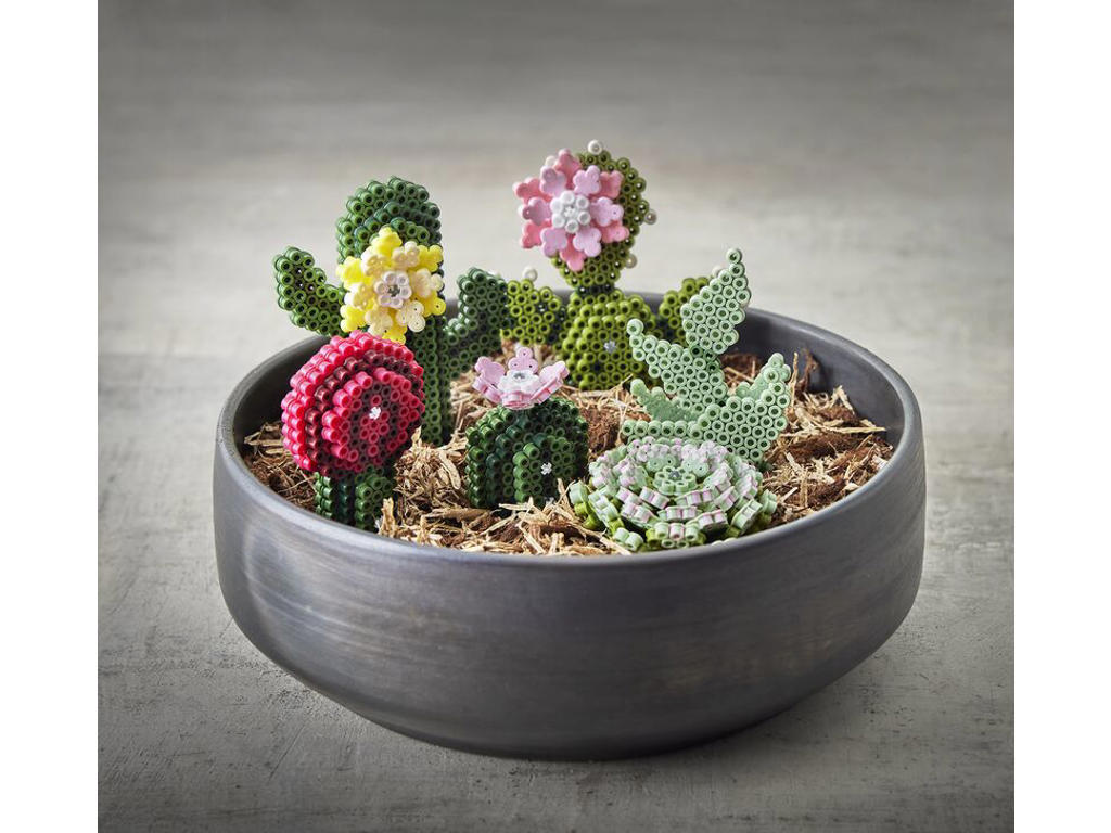 Hama Art midi Sukkulenter - 3622
