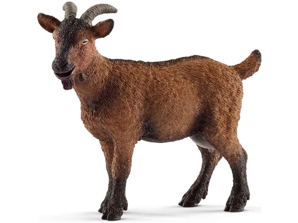 Ged fra Schleich - 13828