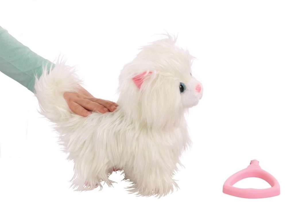 Animagic Cassy goes Catwalk