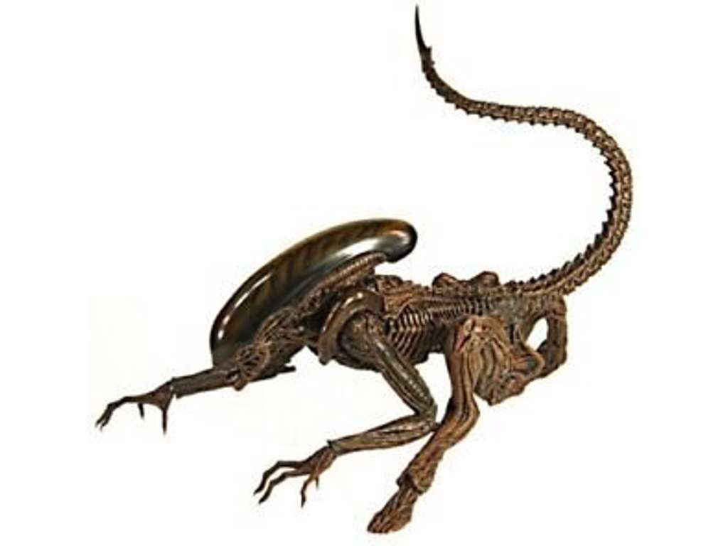 Dog Alien 1/6 action figur fra Alien 3 fra Hot Toys