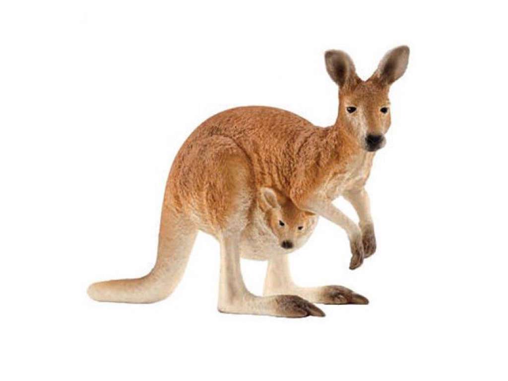Kænguru fra Schleich - 14756