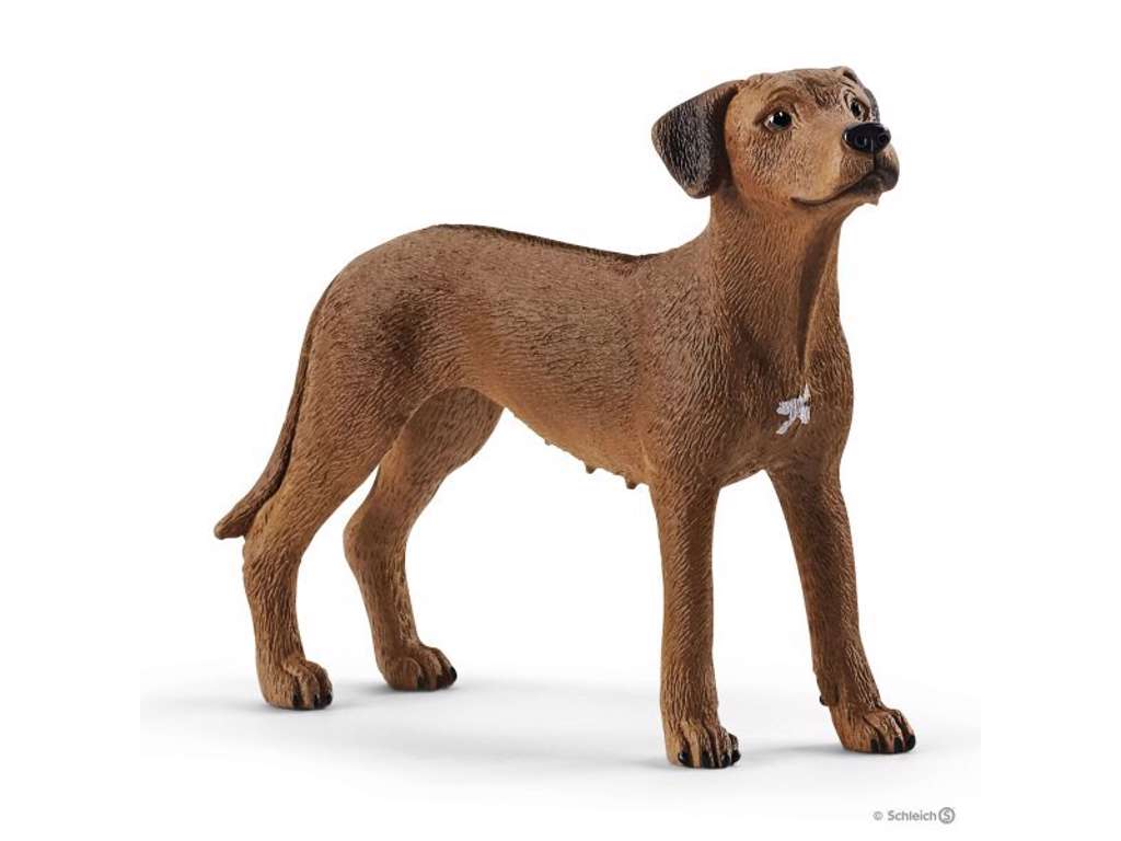 Rhodesian Ridgeback fra Schleich - 13895