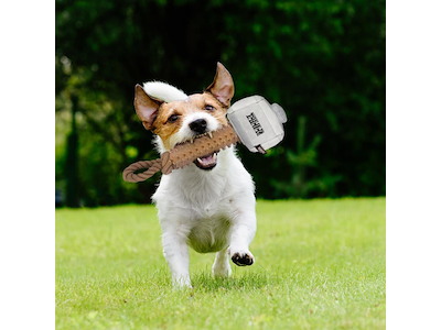 Thor Hammer Bidelegetøj til Hund