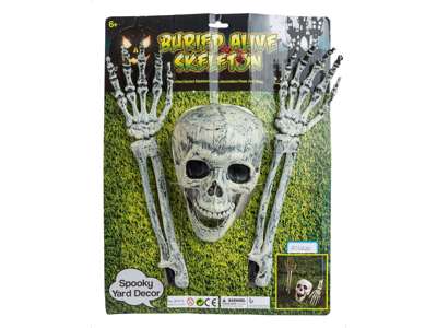 Skelethoved og -knogler