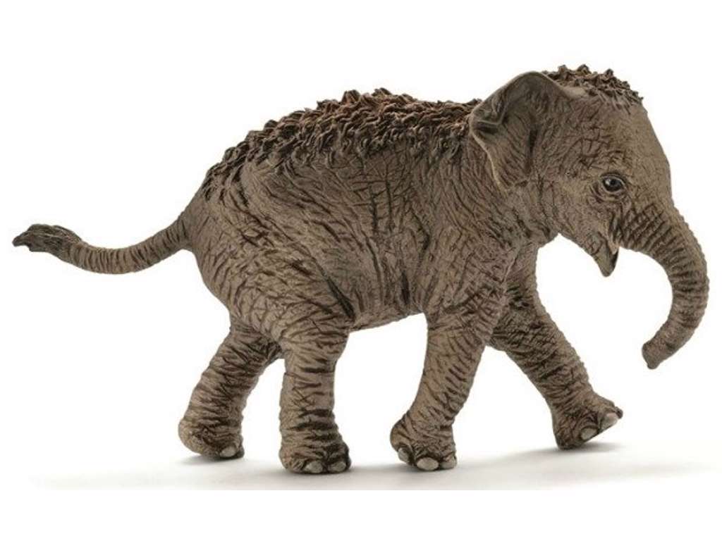 Asiatisk elefant unge fra Schleich - 14755