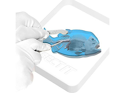 Sensory Compounds Piranha In Giftbox