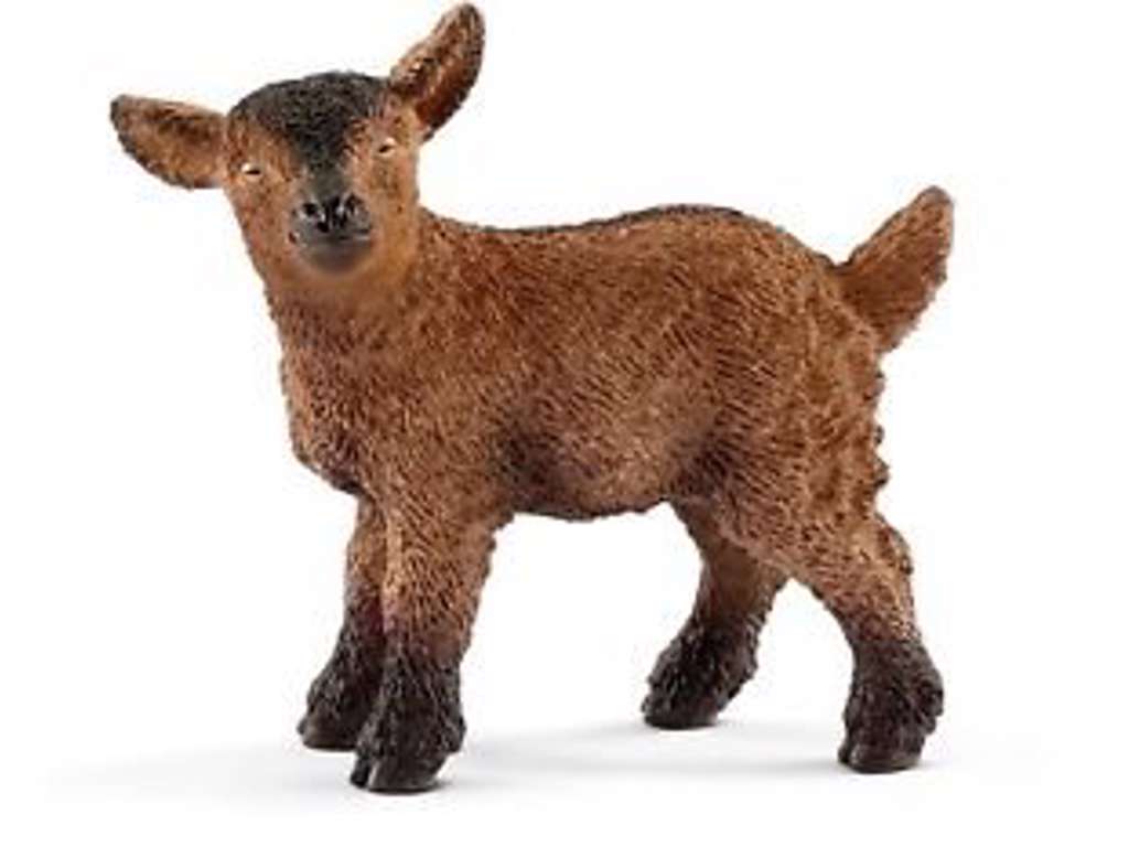 Gedekid fra Schleich - 13829