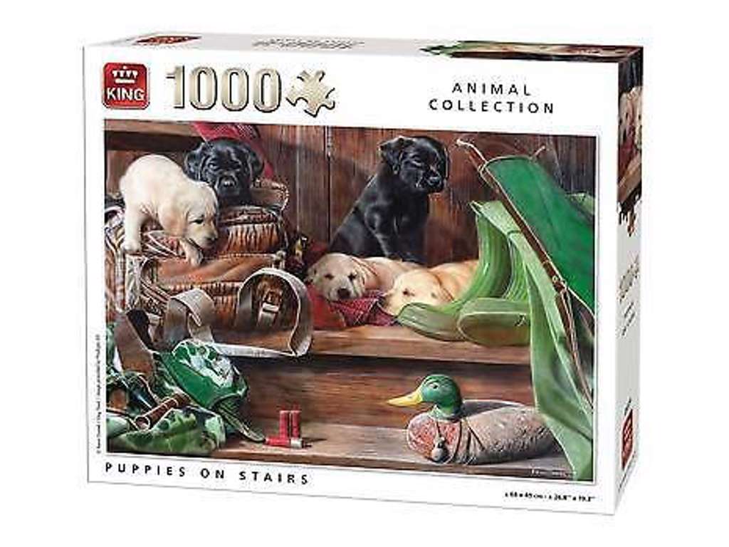 Hundehvalpe på trappe puslespil på 1000 brikker fra King