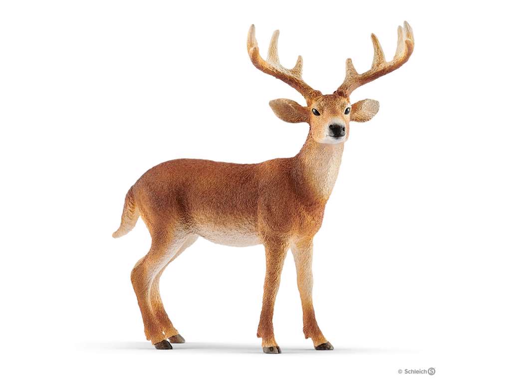 Whitetail-hjort fra Schleich - 14818