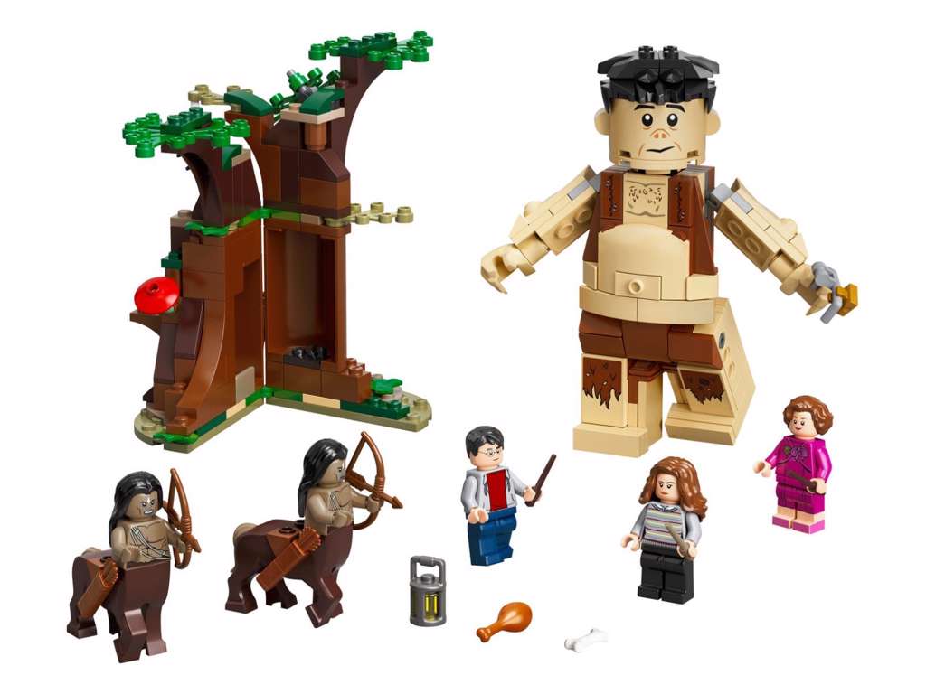 LEGO Harry Potter TM - Den Forbudte Skov: Nidkjærs møde - 75967